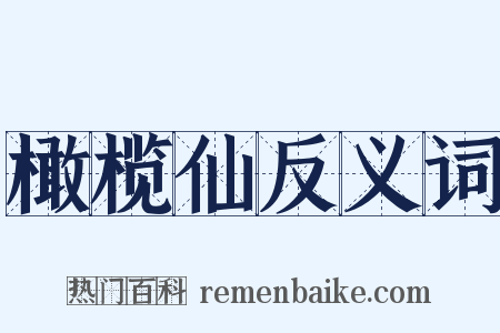 橄榄仙反义词是什么意思的图片